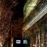 The Sendai Pageant of Starlight