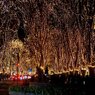 The Sendai Pageant of Starlight