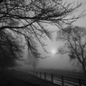 A  Hazy Shade of Winter