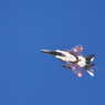 f１５　記念塗装　狗鷲