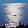 海