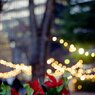 SENDAI Christmas Market 2024