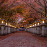高山寺 紅葉 4