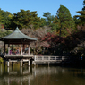 秋の成田山公園