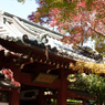 秋の本土寺