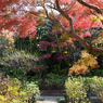 秋の本土寺