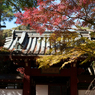 秋の本土寺