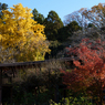 秋の本土寺