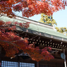 秋の本土寺