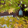秋の本土寺