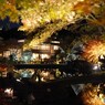 ーひごあかりー２０２４～xiv