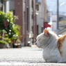 春の日差し