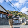 お散歩。いえい。
