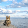 冬の海と冬の空