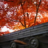 紅葉と瓦 その1