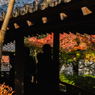 御屋敷の庭-渡り廊下- その1