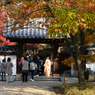 御屋敷の庭-入口-