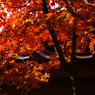 紅葉と瓦 その2