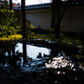 御屋敷の庭-井泉-