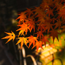 秋の情緒