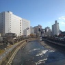 橋の上からの川（12月6日）
