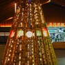 クリスマスツリー