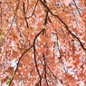 12月のお昼時