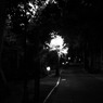 いつもの～み～ち～♪
