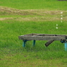 写真句：公園のベンチ