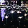 光の花