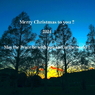 Merry Christmas !：NTW536