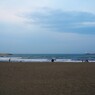 海