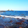 海
