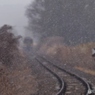 主役は、雪
