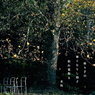 写真句：椅子：NTW542