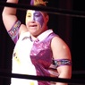 29日はサムライはスターダムだらけ