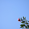 【写真展 Maze Q4CY24】青空