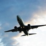 B737-800  JA334J