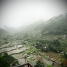 雨の Hapao Rice Terraces 。横向き。 