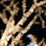 P1063556