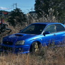 写真句：Blue car in the grass