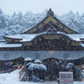 小雪舞う初詣