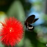 生物園２０２５～ⅲ