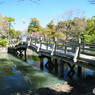 柳川川下り観光通り