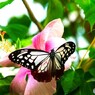 生物園２０２５～ⅵ