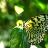 生物園２０２５～ⅷ