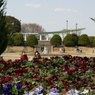 庭園と展望台