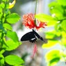 生物園２０２５～ⅺ