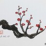 紅梅