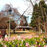 冬のアンデルセン公園～ⅳ